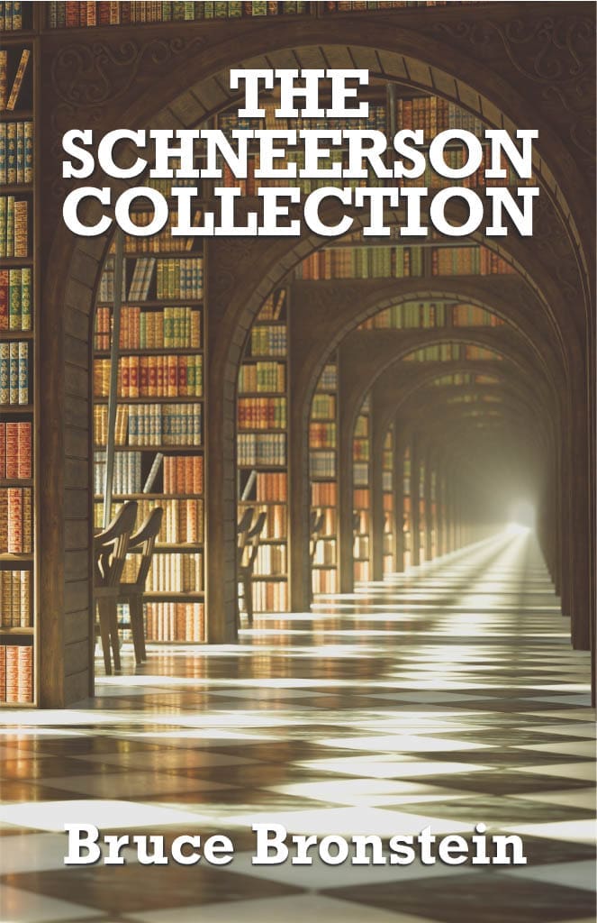 THE SCHNEERSON COLLECTION Book by Bruce Bronstein featuring an image of a large library